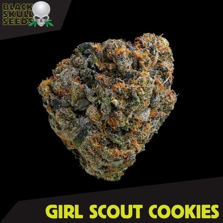 girl-scout-cookies2-2